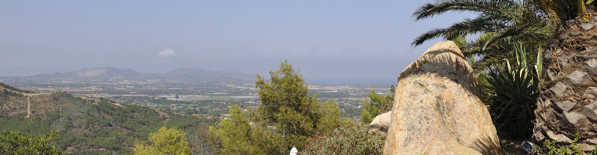 Villa Aquila Giardino | Palmen, Pool und traumhafter Ausblick Palmen am Pool