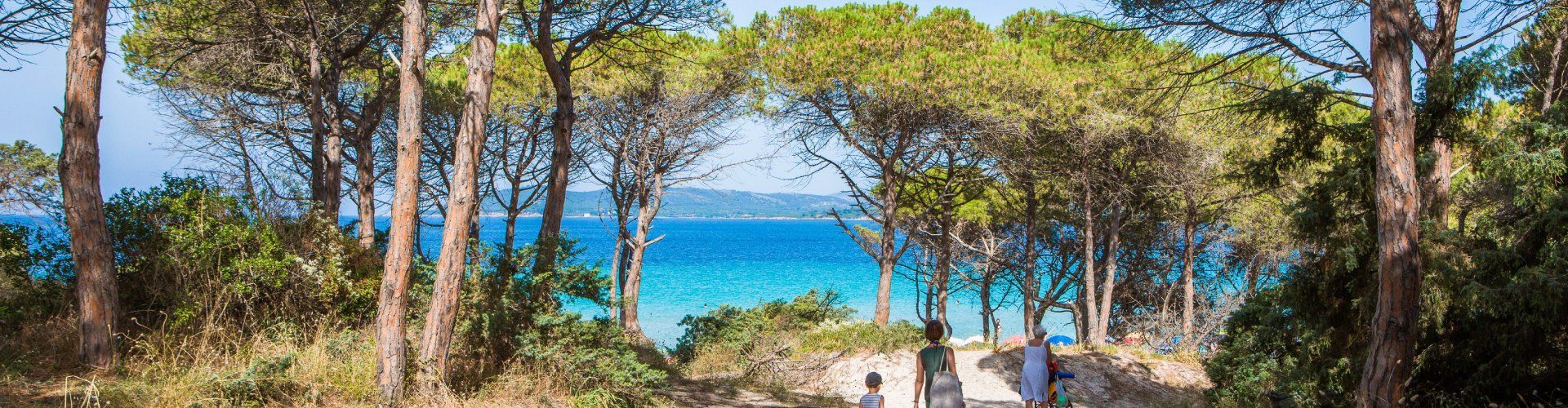 Weg unter Pinien durch weiße Sanddünen zum Strand von Maria Pia Alghero