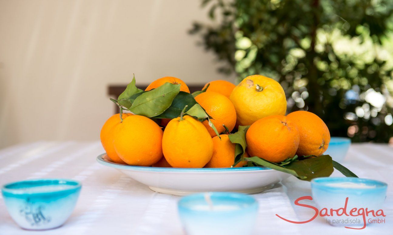 Apartment Orri 2 | Auf Sardinien gibt es die besten Orangen im Mittelmeerraum Stilleben