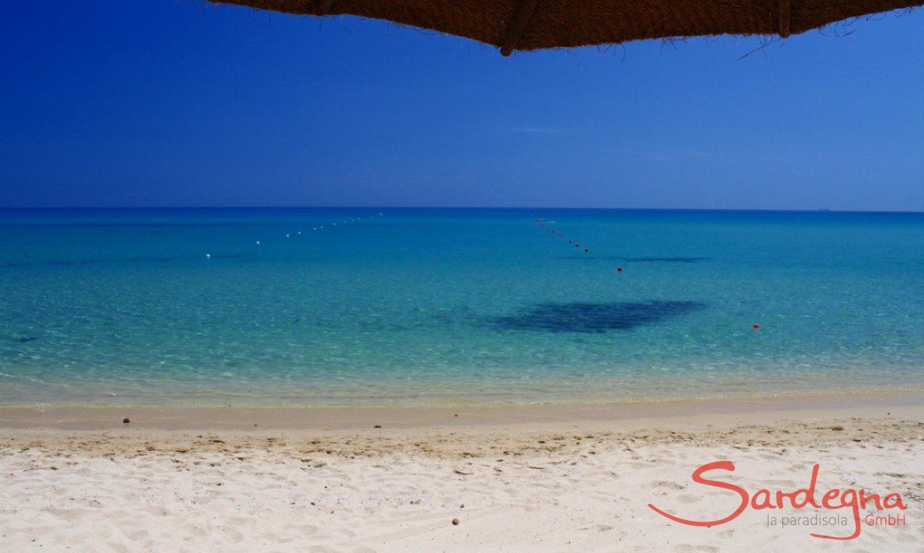 Li Conchi 15 | Costa Rei Strand 500 m