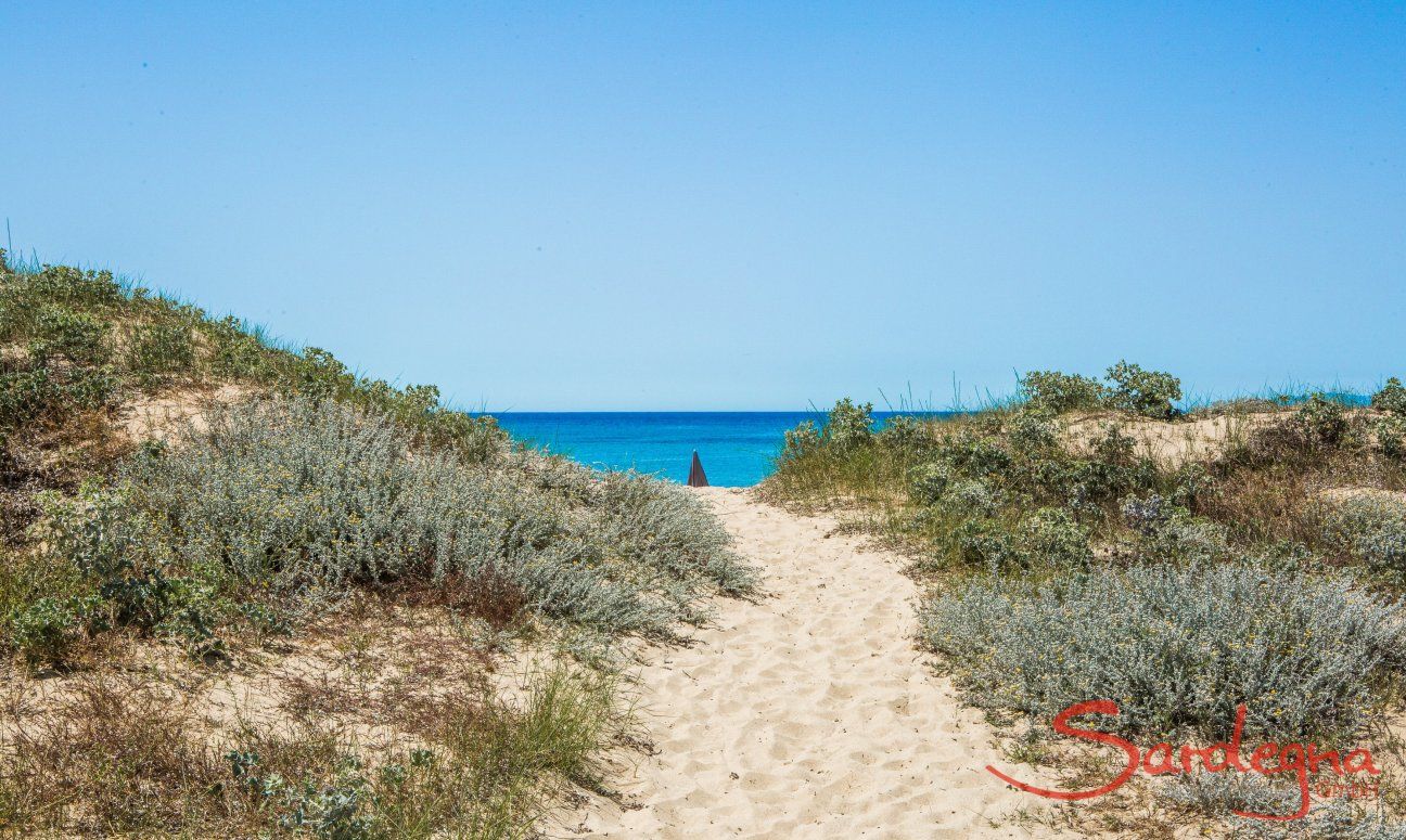 Geremeas - ein Strand für Individualisten | Strandzugang durch die Dünen von Geremeas, Torre delle Stelle Strandzugang durch die Dünen von Geremeas
