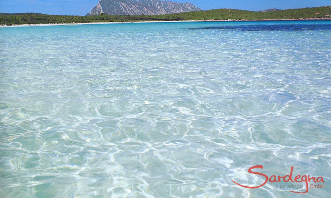Villa Cala Ginepro | Glasklares Wasser am Strand von S.Teodoro Glasklares Meer bei San Teodoro