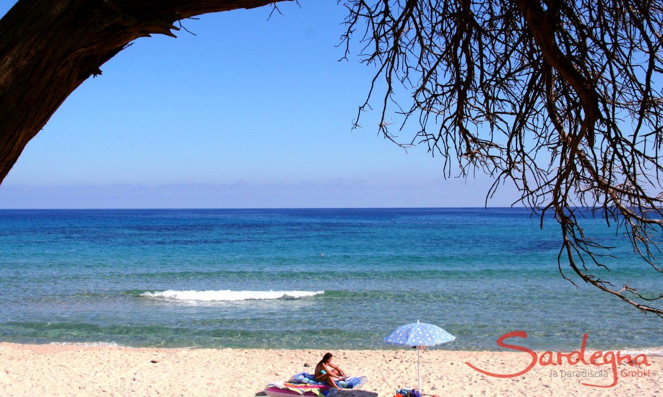 Villa Alessia | Baden an der Costa Rei Strand