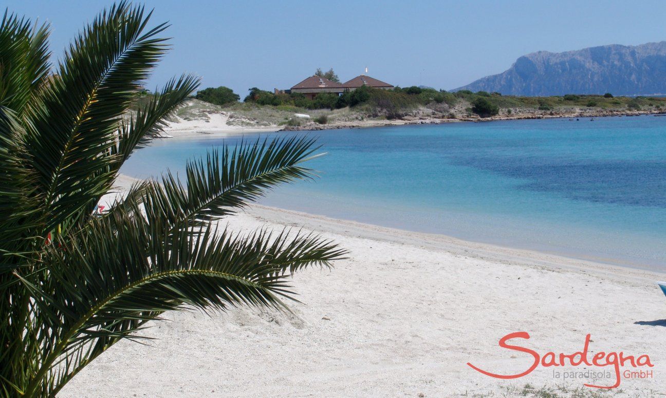 Villa Caterina | Strand Cala Banana bei Nodu Pianu, 1 km von der Villa Sardinien