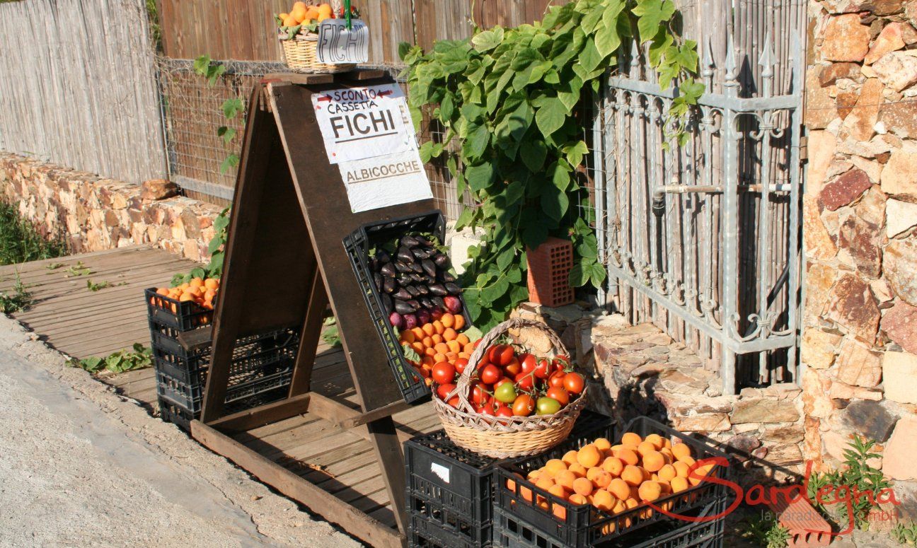 Straßenverkauf von frischem Obst in Pula