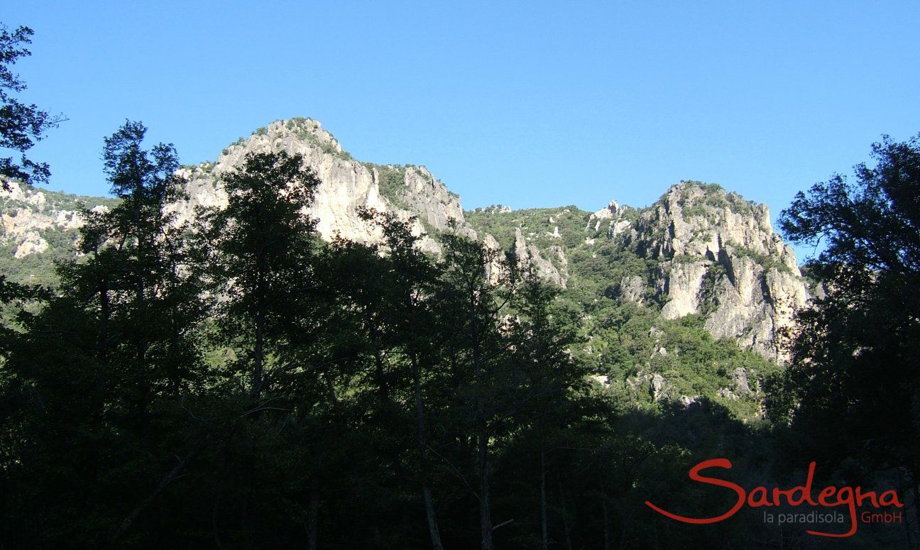 Sardiniens Berge