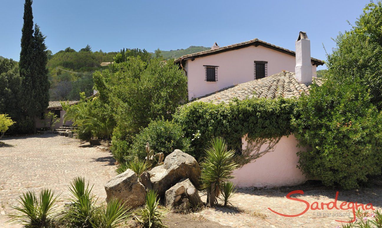Villa Fiori 1 | Das Haus ist umgeben von grünen Pflanzen und mit Ziegeln gefließten Plätzen Seitenansicht der Villa Fiori 1