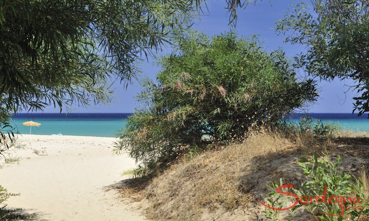 Villa ToreMari | Weg vom Strand zur Villa Weg vom Strand zur Villa ToreMari