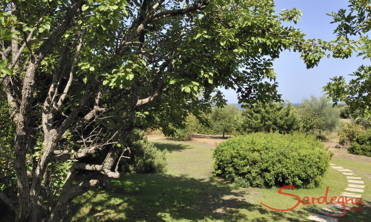 Casa Meloni 2 | Eingebettet in die sardische Natur Ferienhaus eingebettet in die sardische Natur, Meloni 2 in Sant Elmo