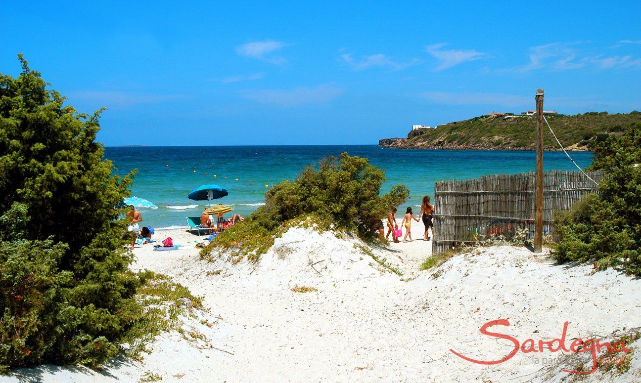 Strand Le Saline in Calasetta