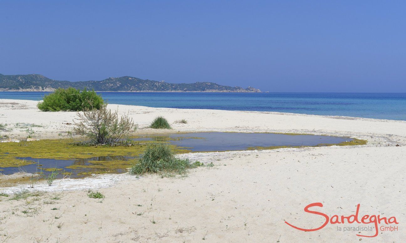 Strand vor Rei Sole