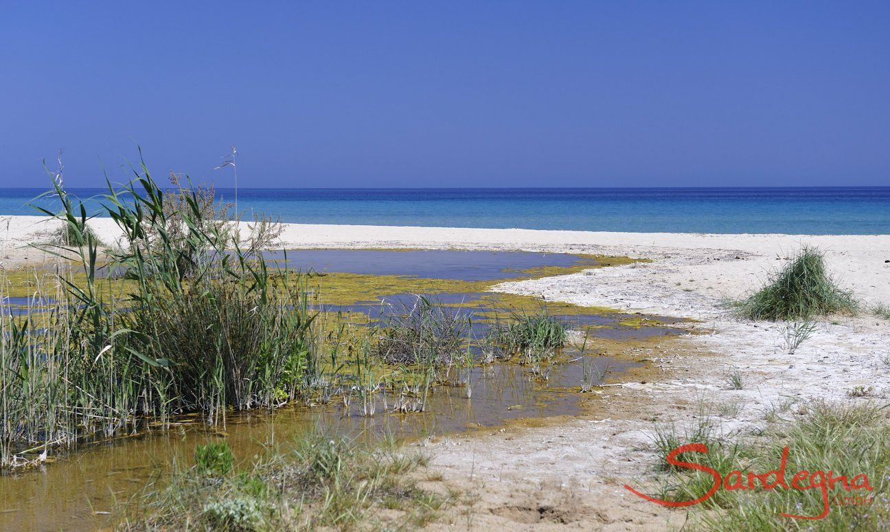 Villa Daniele | Lagune und Meer in Rei Sole Strand vor dem Haus