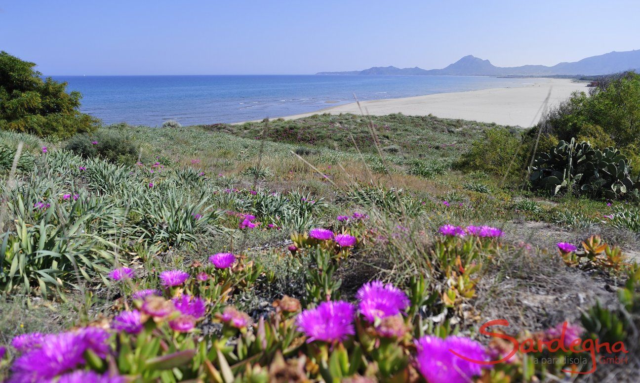 Strand von Torre Salinas, direkt vor der Villa gelegen 