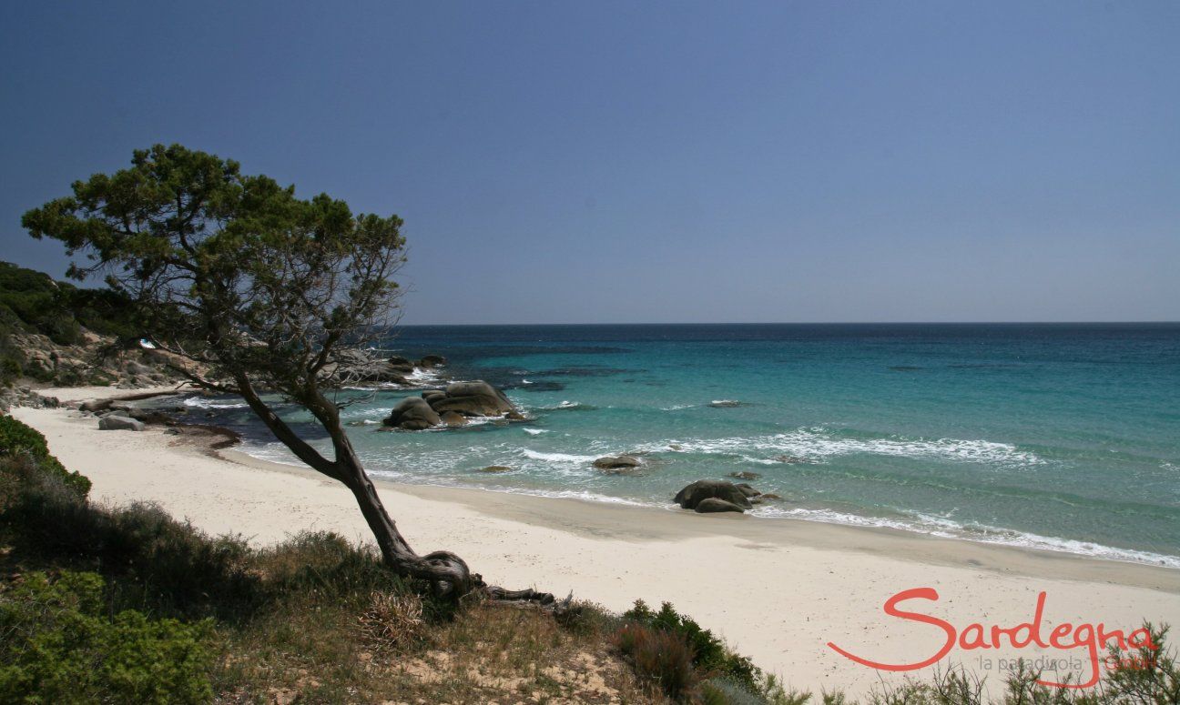 Apartment Azzurra | Porto Sa Ruxi, 2 km Weißer Sandstrand