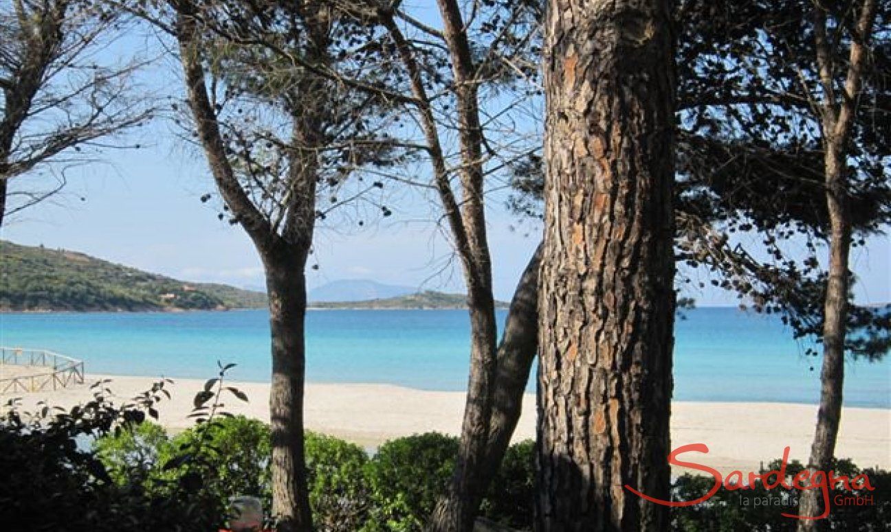 Strand Porto Taverna