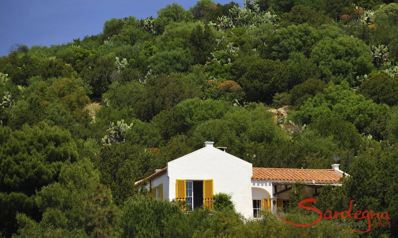 Villa Bau Cannas | Haus inmitten grüner Natur Villa Bau Cannas