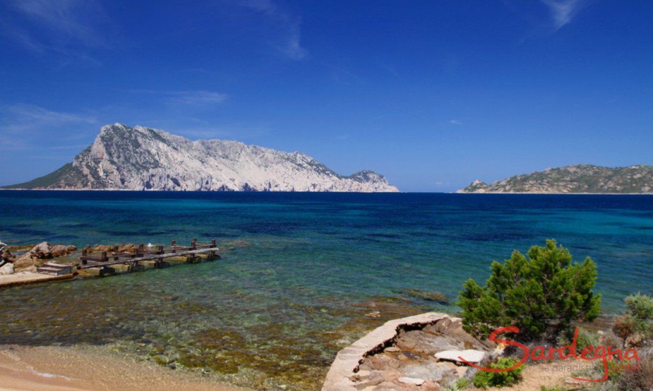 Villa Cala Ginepro | Strand am Haus Strand am Haus