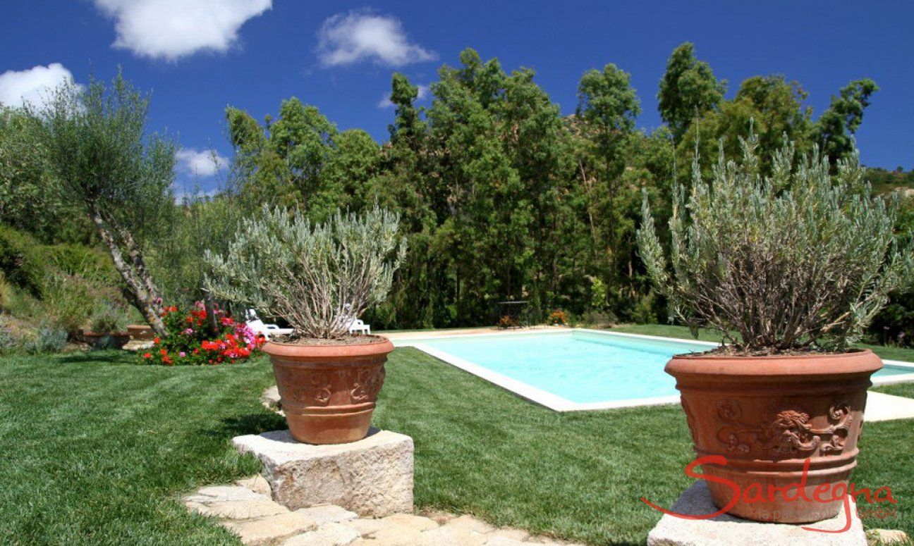 Villa Caroline | Schön angelegter und gepflegter Garten zum relaxen Schön angelegter und gepflegter Garten zum relaxen