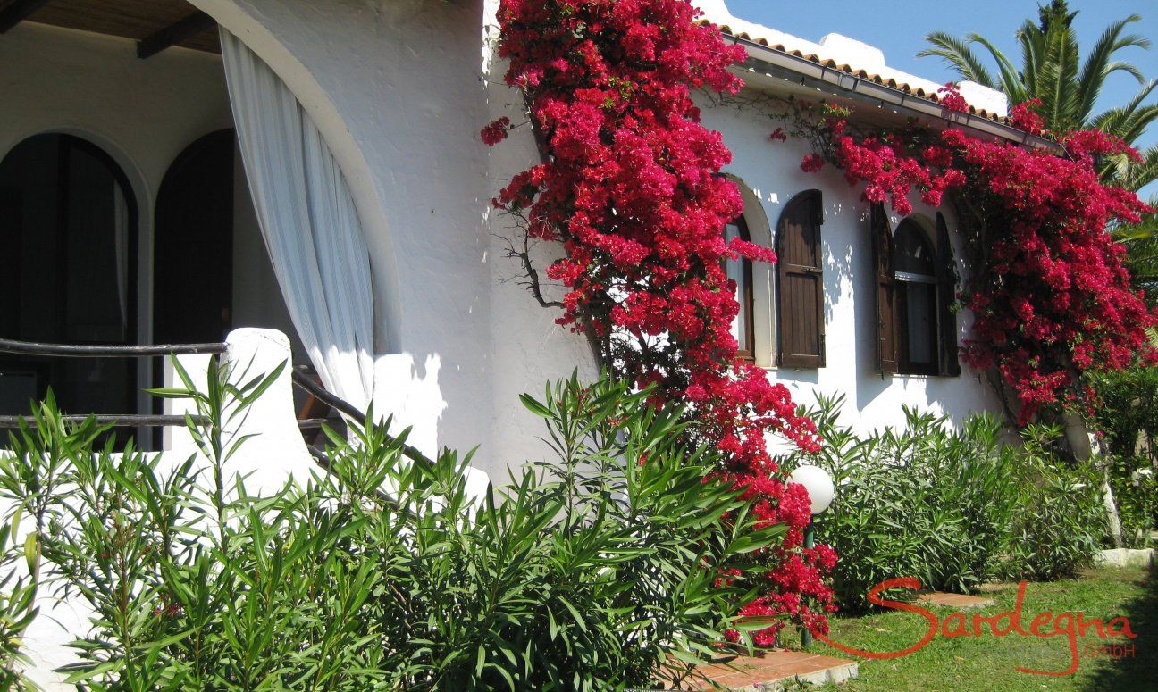 Villa ToreMari | Grüner Garten und blühende Bougainville vor der Terrasse Villa ToreMari