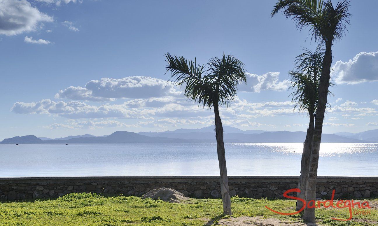 Blick aufs Meer und Palmen an der Strandpromenade