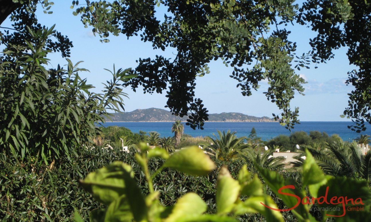 Villa Alessia | Meerblick vom Garten Meerblick