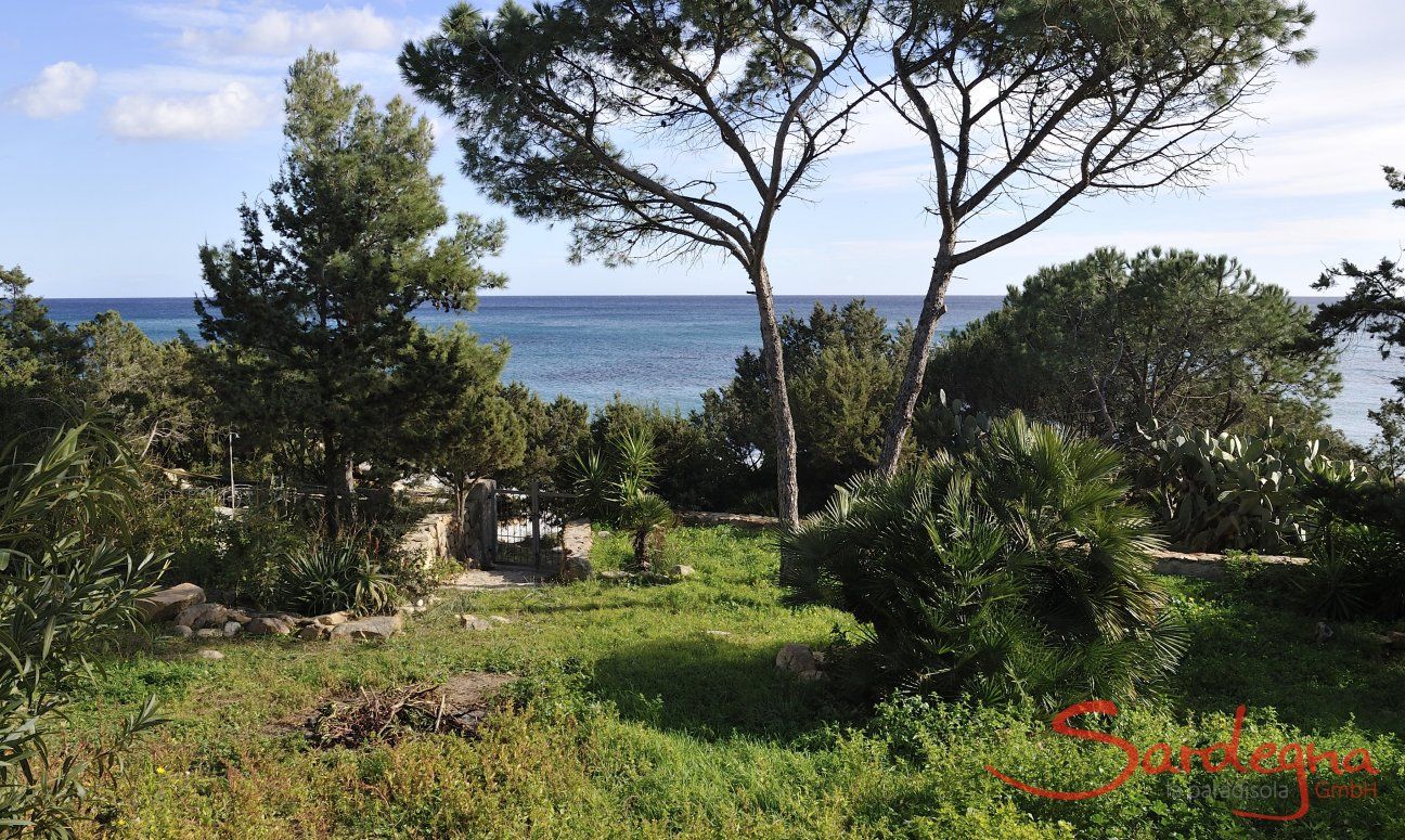 Apartment Cala Liberotto I | Blick durch den Garten auf das Meer Meerblick von der Terrasse