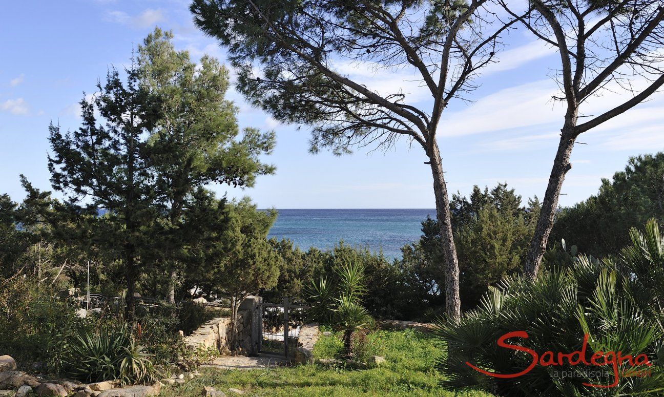 Blick vom Ferienhaus Cala Liberotto durch den Garten direkt aufs Meer