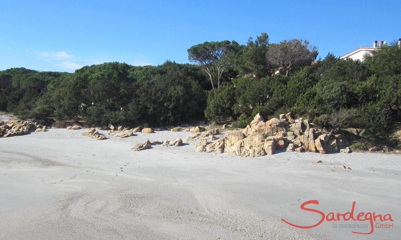 Strand vor der Haustür 