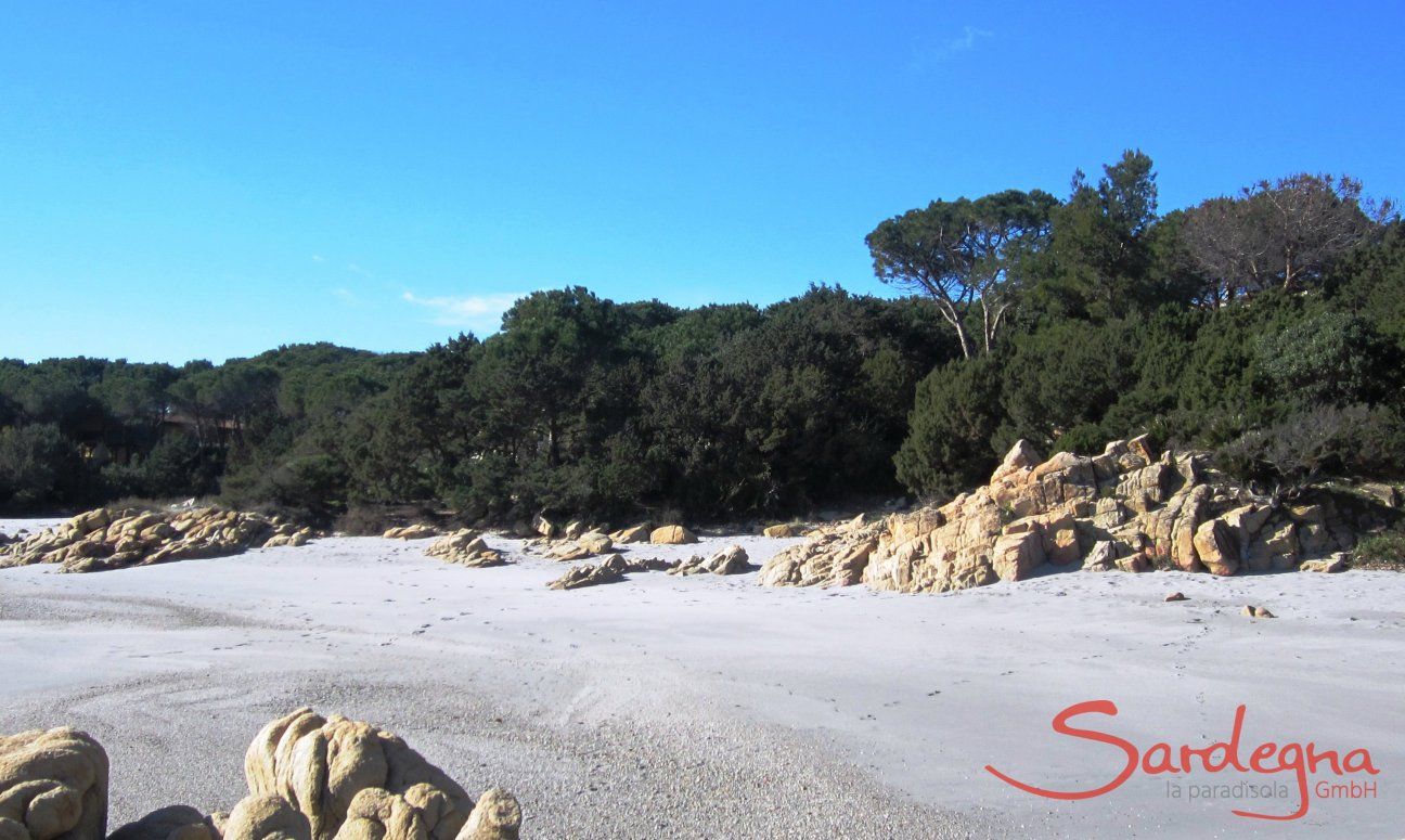 Apartment Cala Liberotto I | Strand vor dem Haus Strand in der Nähe