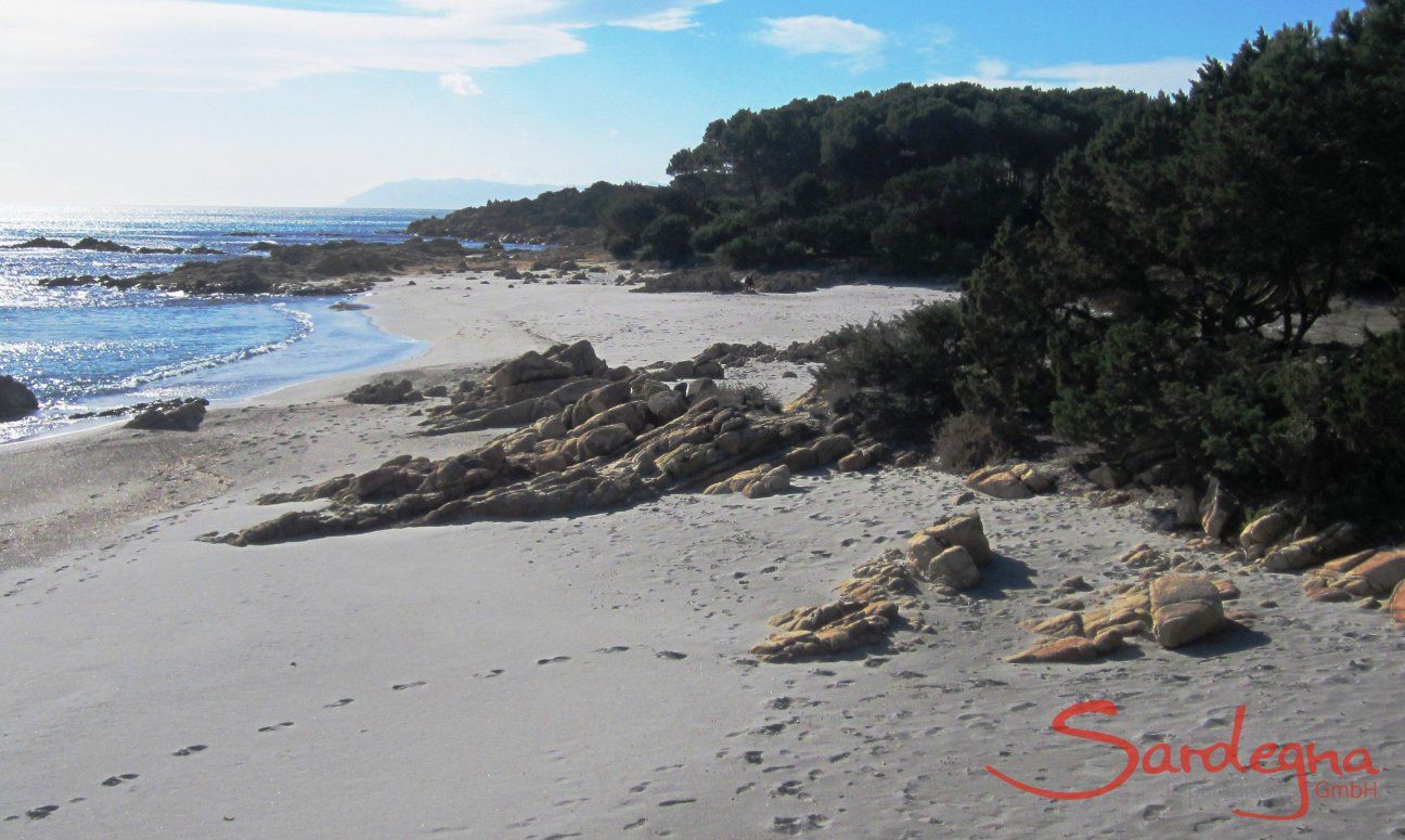 Apartment Cala Liberotto I | Strand vor dem haus Sardinien