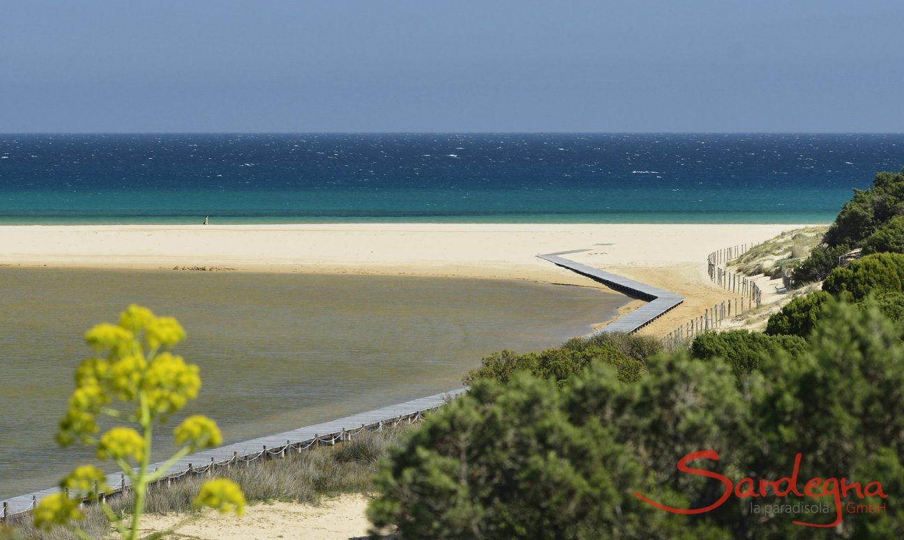 Lagune und Strand von Chia