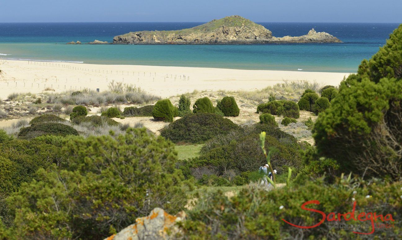 Chia | grüne Macchia |weißer Sandstrand und Insel Su Giudeu