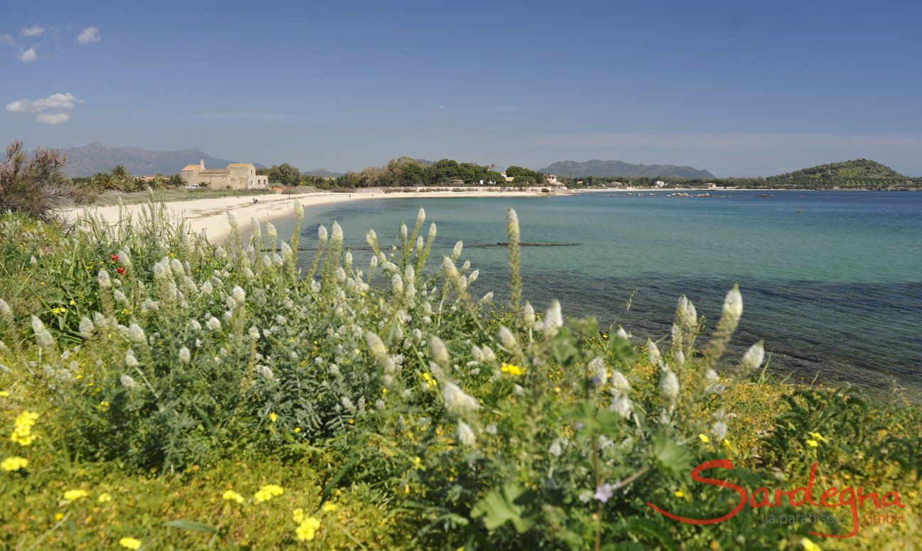 Sardinien