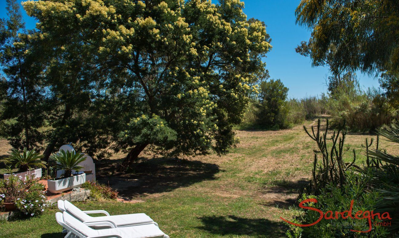 Apartment Orri 2 | Garten mit Sonnenliegen zum Entspannen Garten mit Sonnenliegen zum Entspannen