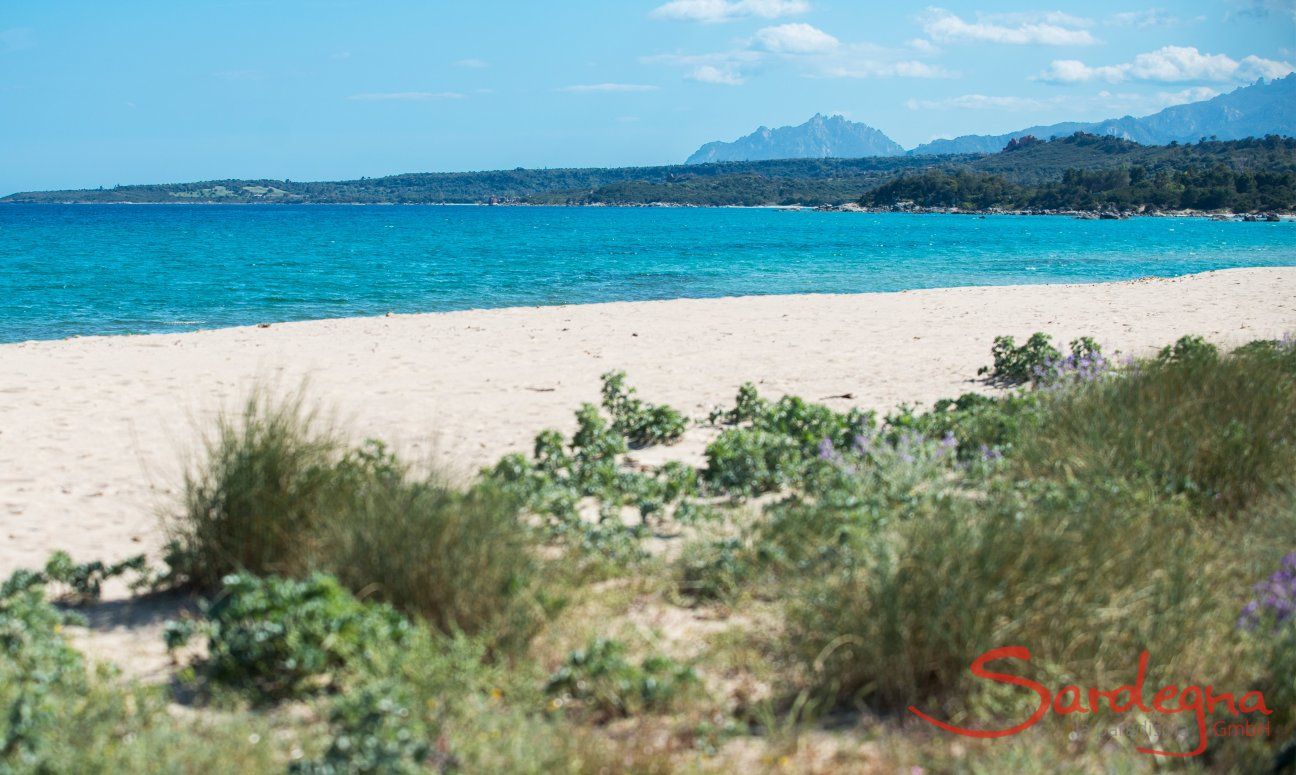 Apartment Orri 3 | Strand vor dem Haus, 30 m. vom Haus Garten endet am Strand