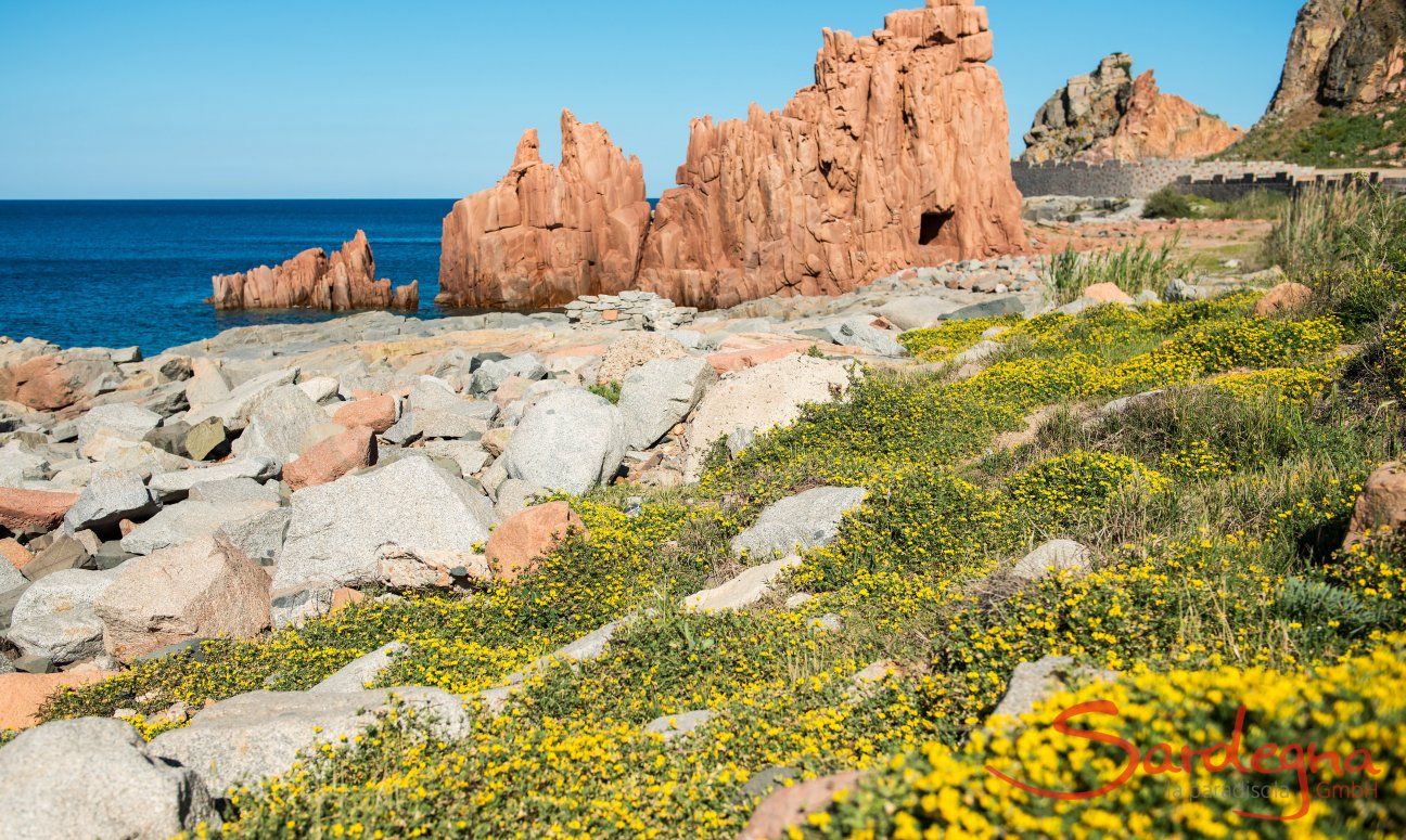 Apartment Orri 3 | Die roten Felsen von Arbatax sind nur 6 km entfernt Rocce Rosse, Arbatax