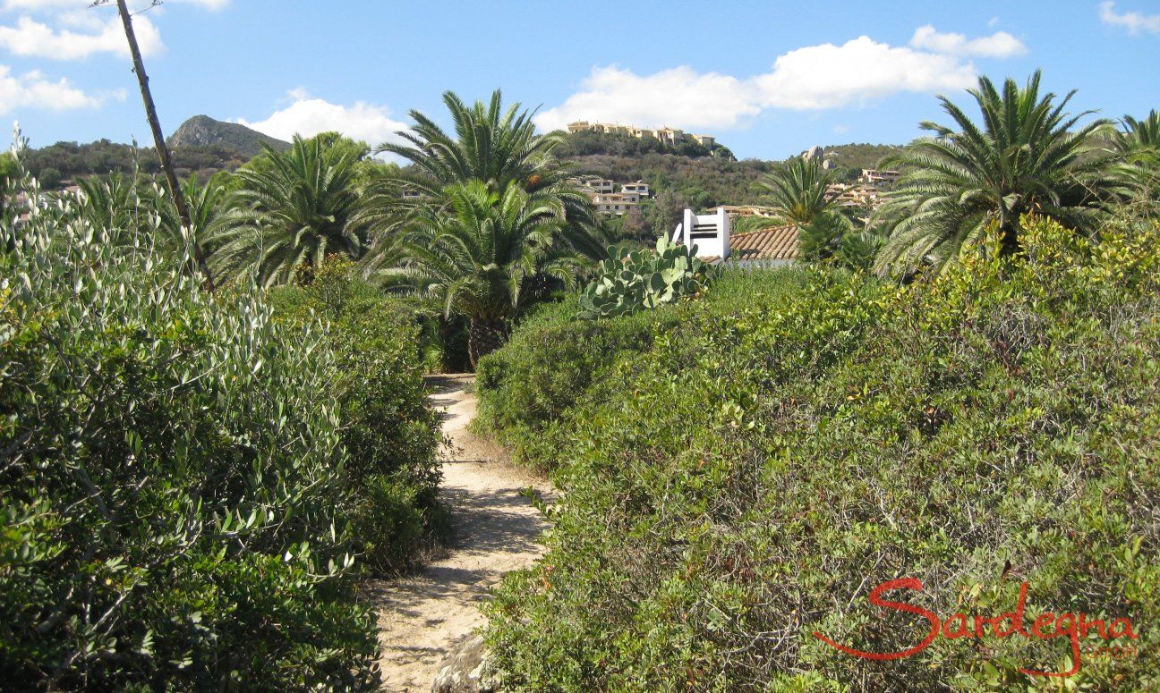 Direkter Weg vom Haus zum Strand 