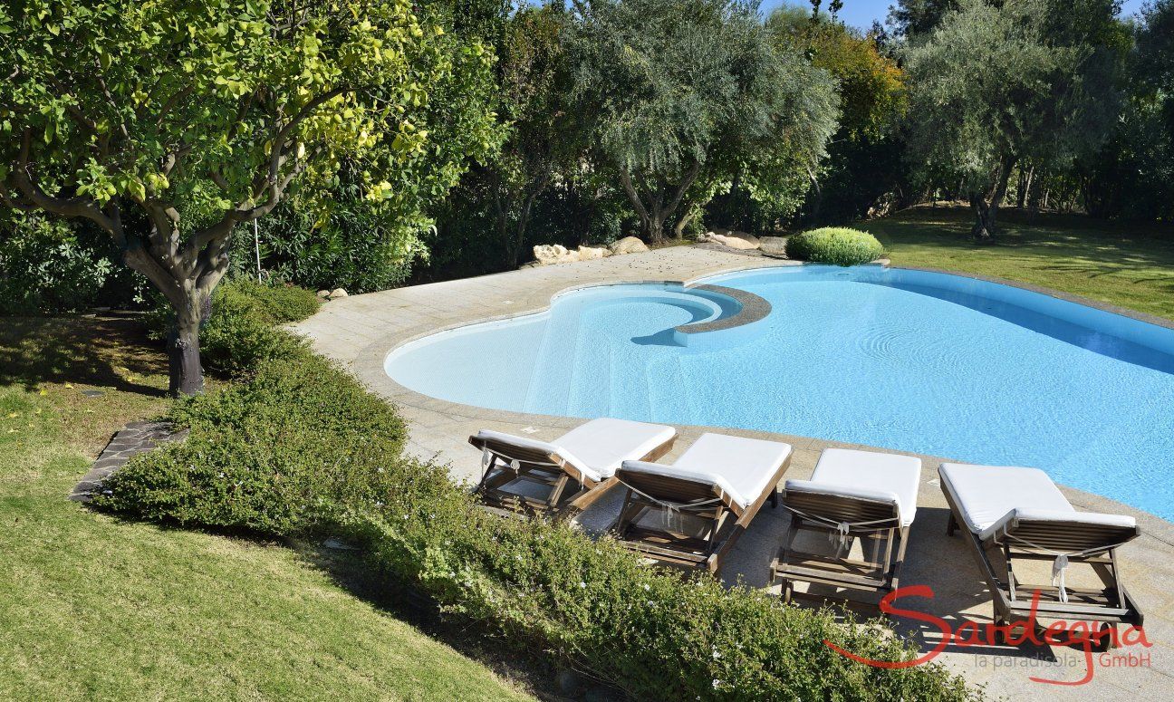 Villa Ulivi 12 | Pool mit Sonnenliegen und Zitronenbaum Pool