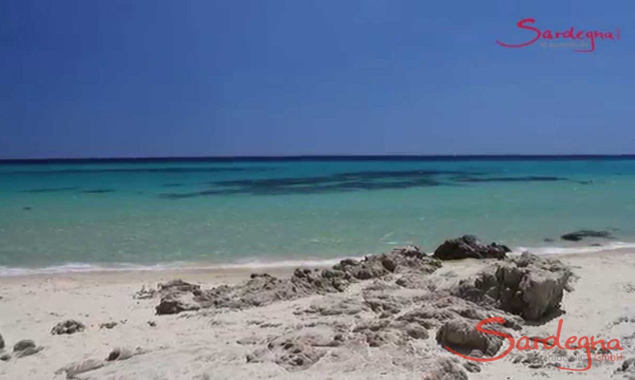 Villa Monica | Video Villa Monica Video Villa Monica