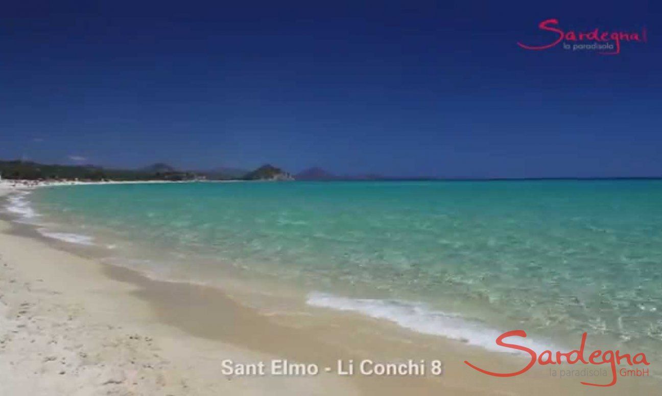 Li Conchi 8 | Video Li Conchi 8 Video Li Conchi 8
