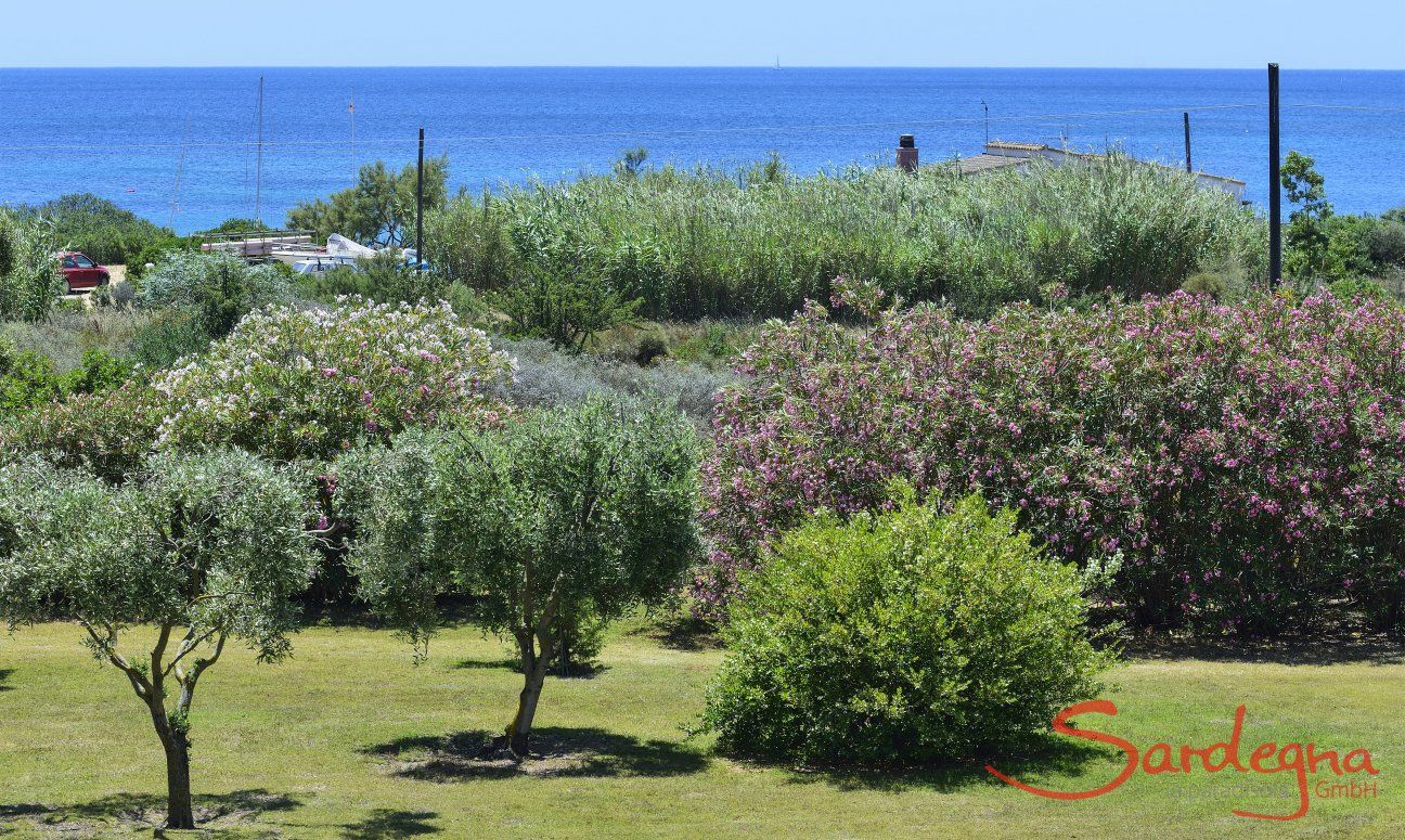 Großflächiger Garten der Villa mit Meerblick 