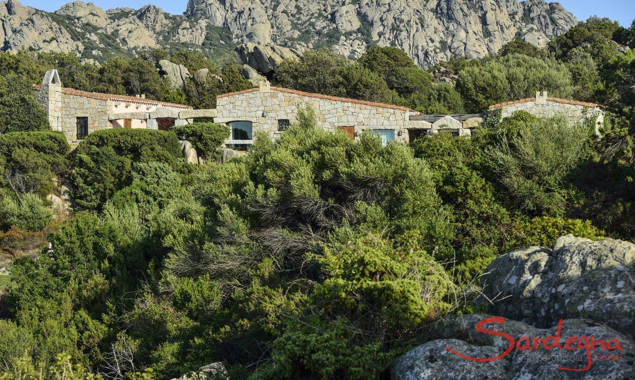 Villa Domus 9d | Das Haus ist freistehend und von Natur umgeben Domus 9d ist freistehend und von Natur umgeben