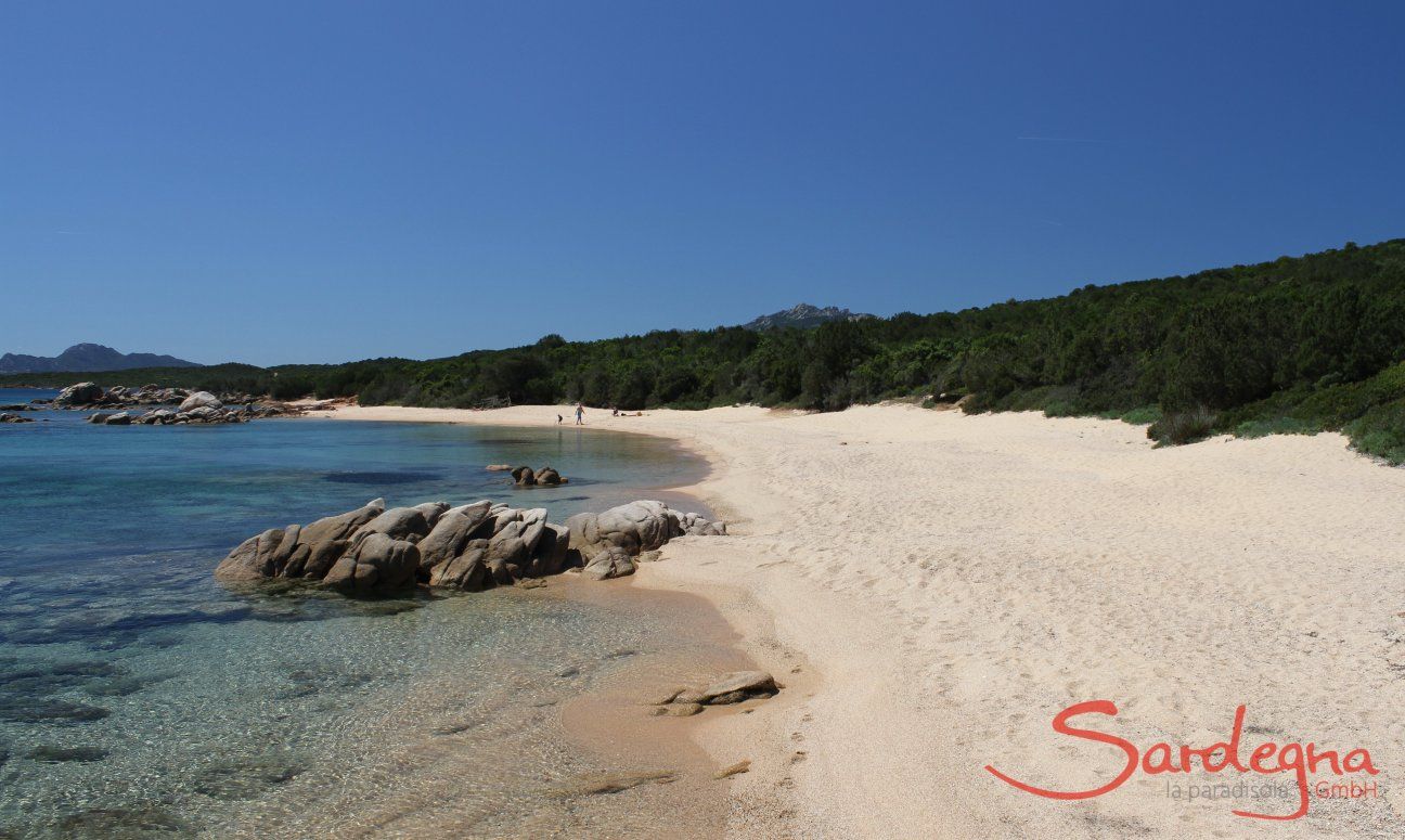 Penthouse Domus 16 | Strand Cala di Volpe, nur 16 km. entfernt Strand Cala di Volpe, nur 16 km. entfernt