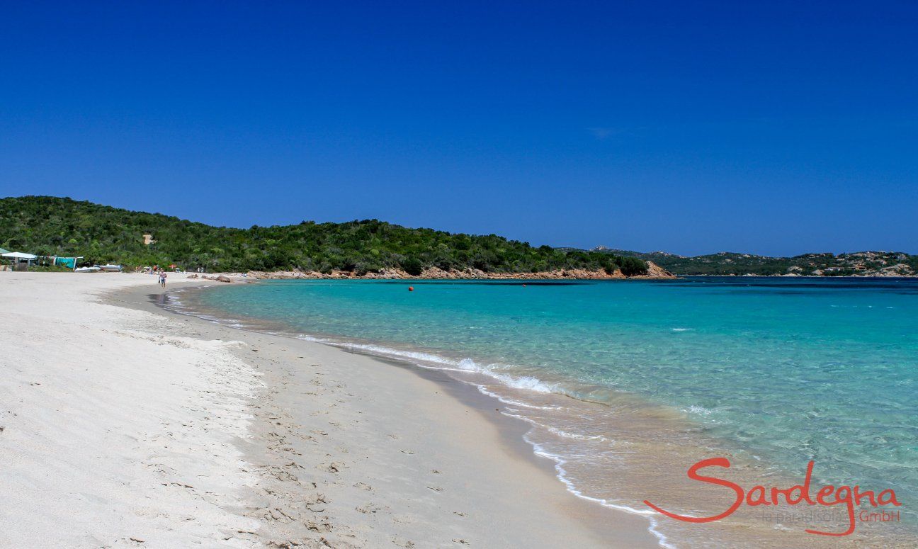 Villa Oleandro | Strand, Liscia Ruja Strand, Liscia Ruja