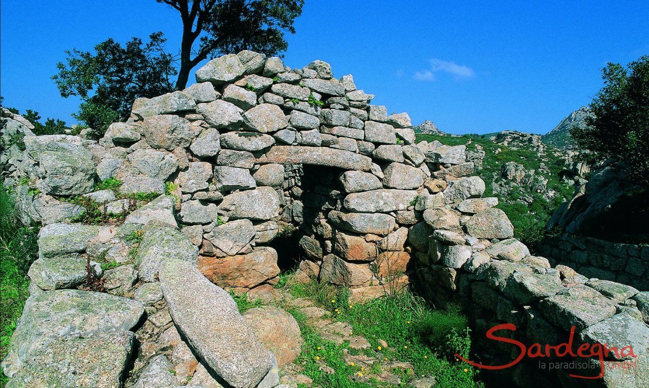Kulturausflüge an Land | Tempel Malchittu und nuraghe Albucciu Sardinien