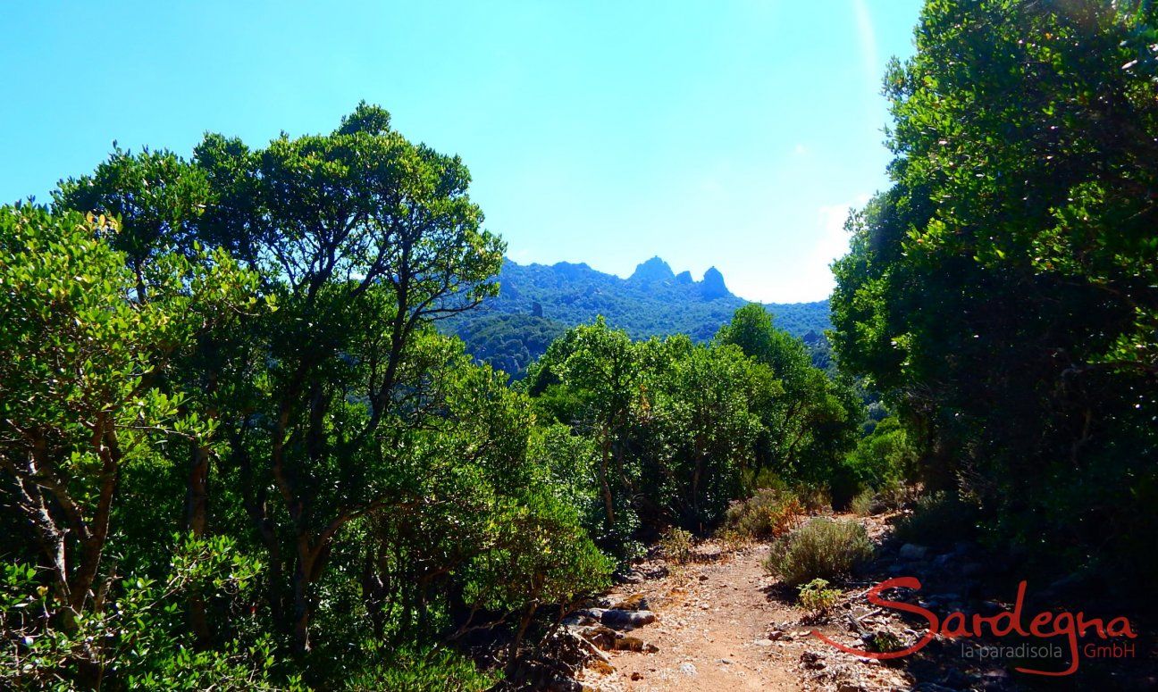 Sardinien