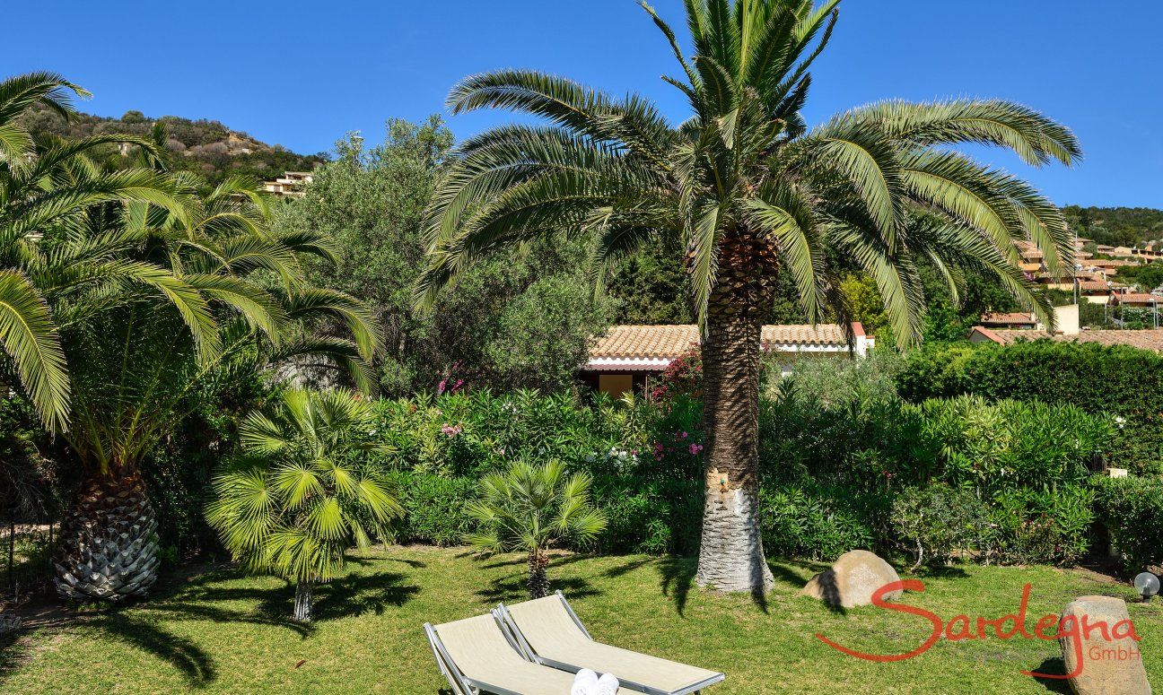 Villa Chiara | Uneinsehbarer Garten mit Palmen und Sonnenliegen Uneinsehbarer Garten mit Palmen und Sonnenliegen