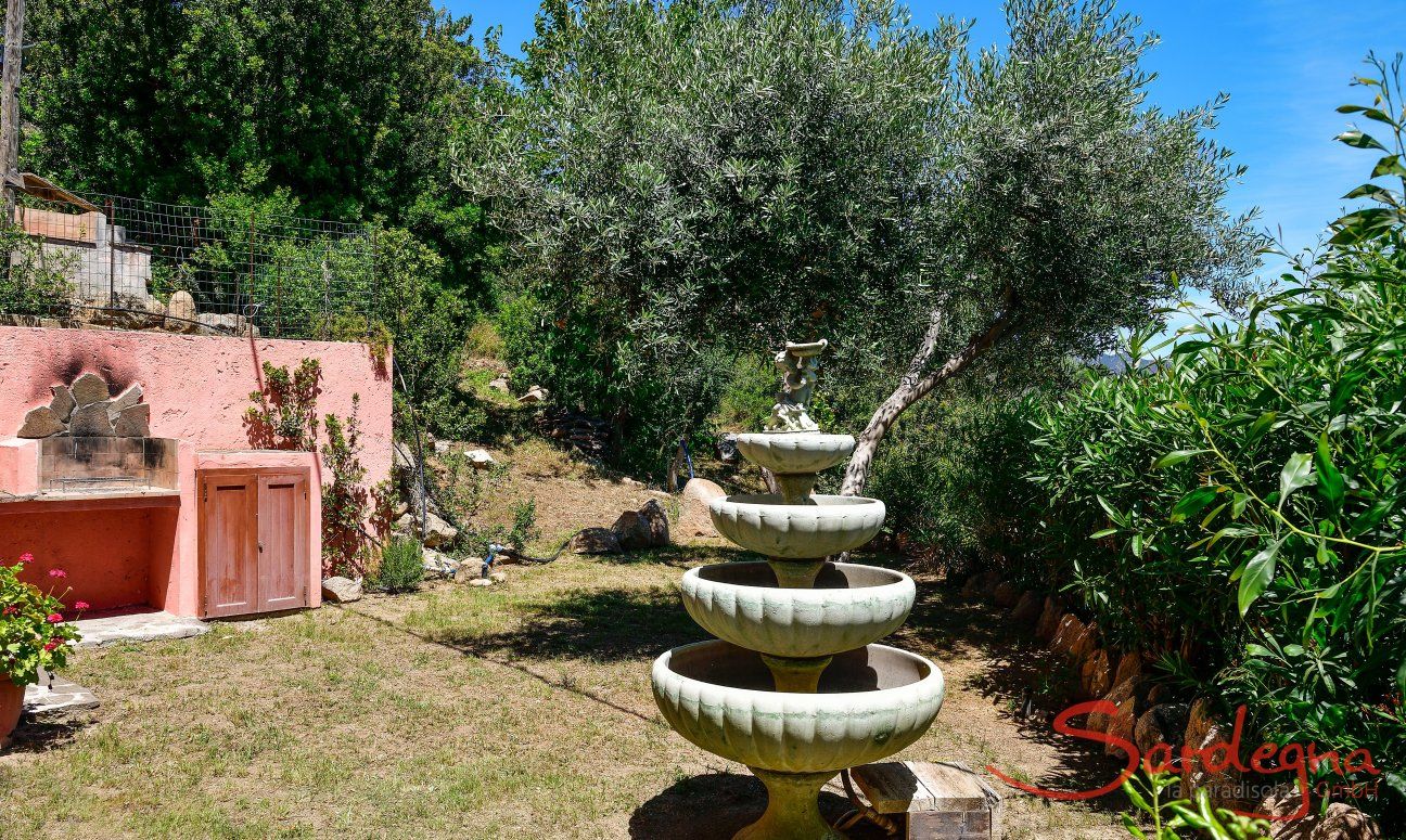 Apartment Castededdu 3 | Garten mit mediterranen Pflanzen Garten mit mediterranen Pflanzen