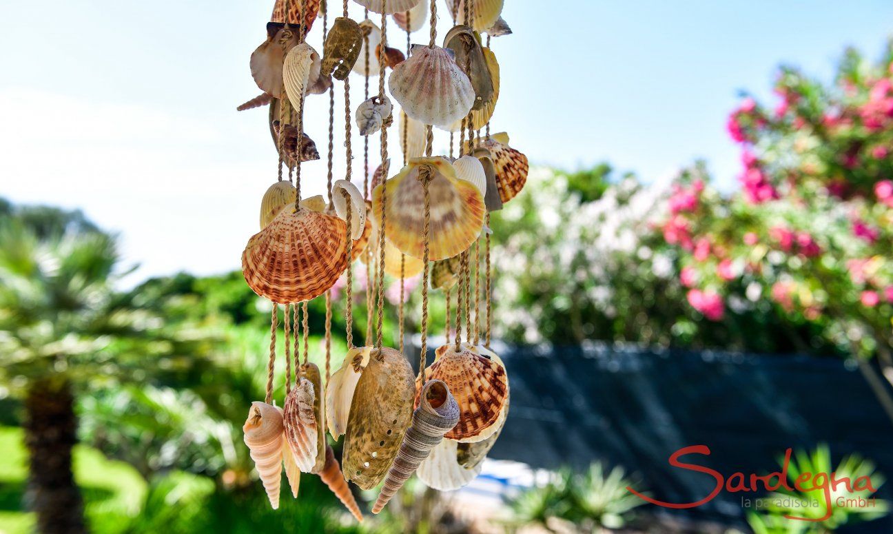 Villa delle Agave | Muschelsammlung aus einer nicht zu langen Zeit - als es noch Muscheln gab New Picture July 2018
