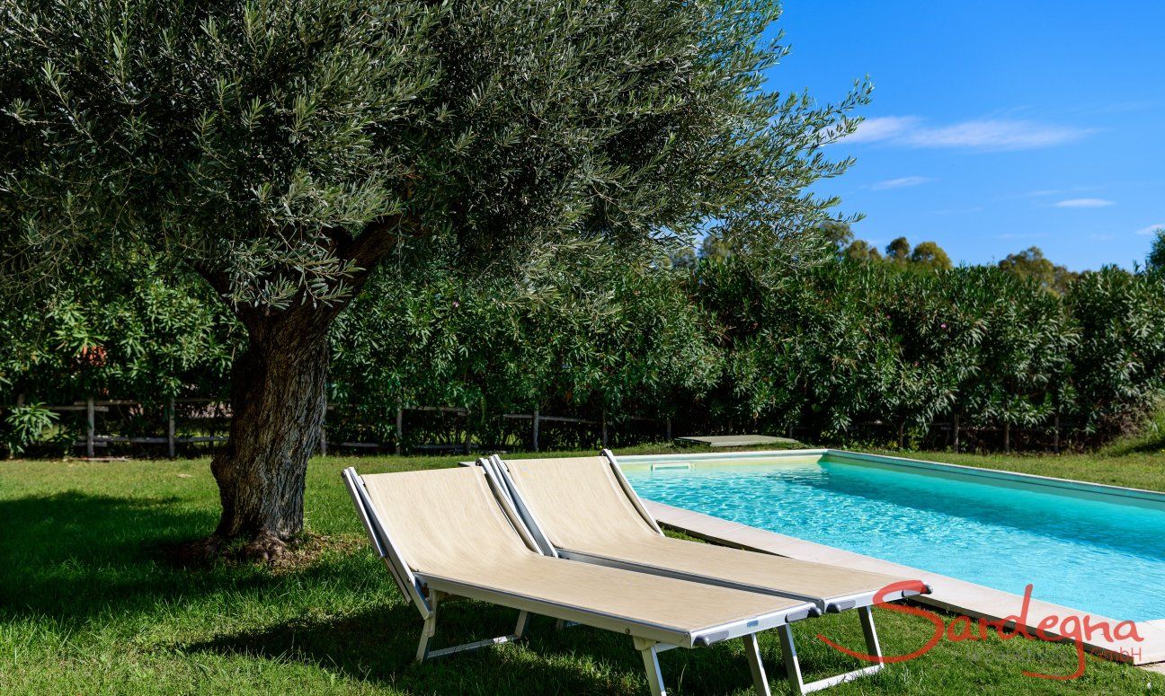 Villa Campidano 21 | sonnebaden am privaten Pool, umgeben von sardischer Natur Sonnenbaden am Pool von Villa Campidano 21